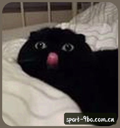 周涛